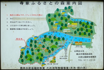 今回、ワニガメが捕獲された公園は横浜市青葉区寺家町の寺家ふるさとの森公園の「むじな池」2