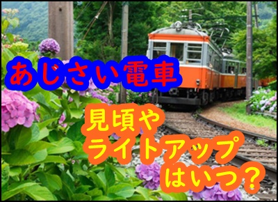 箱根あじさい電車の2022の予約状況は？見頃やライトアップはいつ？2
